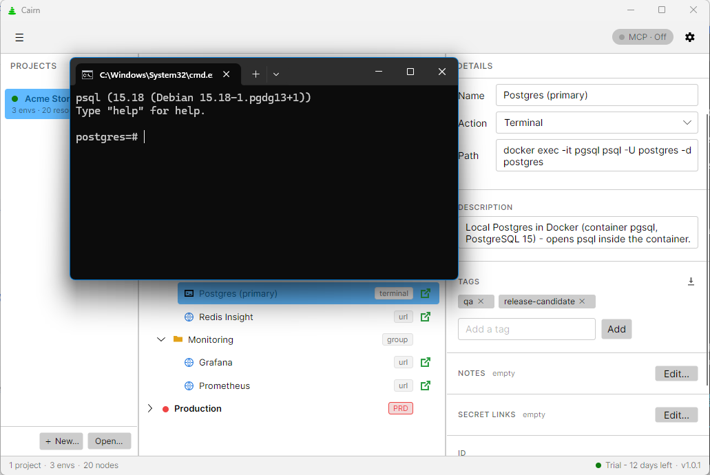 Launching a resource opens a console with a psql session running inside a Docker Postgres container